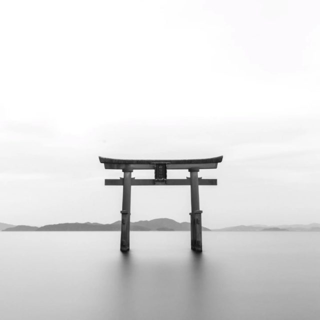 Rebranding Myths Debunked 

‘’Rebranding is just the logo’’

Rebranding is NOT just changing your logo. Here’s why.

A logo is a symbol, but your brand is so much more: it’s your voice, your values, your design system, your customer experience.

Think of it like renovating a house,  the logo is just the front door, but the brand is the whole home.

The truth is that a strong rebrand refreshes the entire identity, not just the visuals